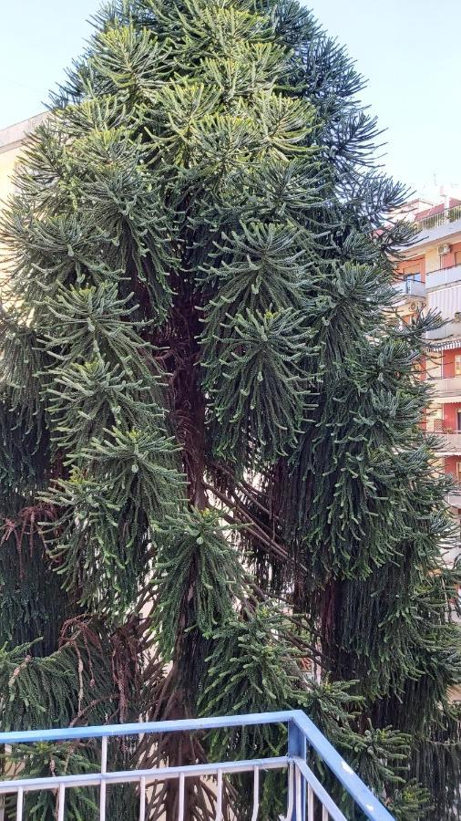شقة La Casa Del Cedro نابولي المظهر الخارجي الصورة